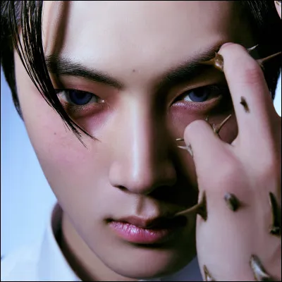 Avec quel membre est-il le plus proche ?