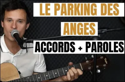 Qui chante "Parking des anges" dans les ann&eacute;es 80 ?