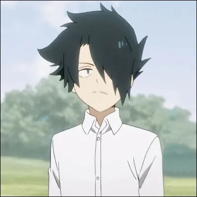 Quelle chanteur a inspir&eacute; le pr&eacute;nom de Ray, selon Isabella ?