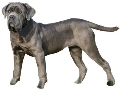 On trouve Madeleine et Toinette dans...