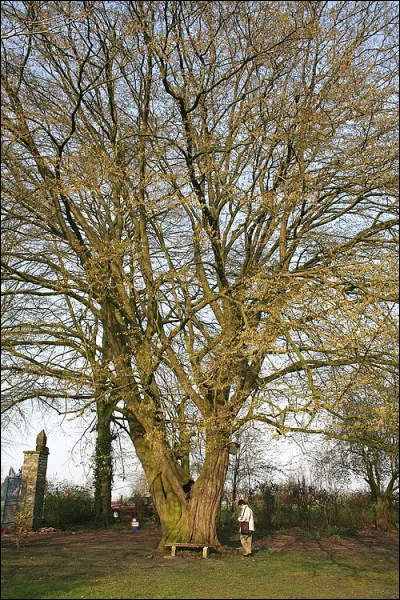 Dans quel livre d'Andr&eacute; Stil y a-t-il Robert M&eacute;nage ?