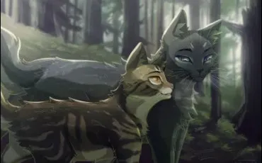 Quiz Test de personnalit�