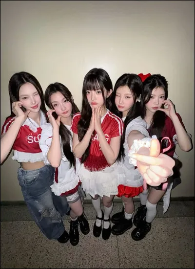 Pour commencer, quel est leur nom de fandom officiel ?