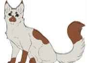 Quiz LGDC - Connais-tu bien Nuage de Musaraigne ?