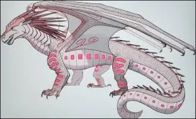 Quelles sont les deux esp&egrave;ces de ce dragon ?