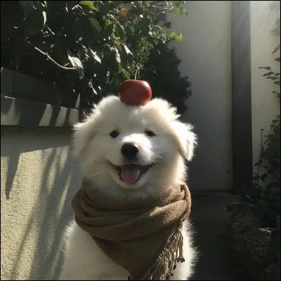 Comment d&eacute;crirais-tu ton caract&egrave;re ?