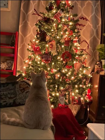 Quel cadeau te ferait le plus plaisir ?