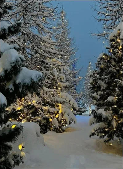 Quand il neige dehors, tu as envie�