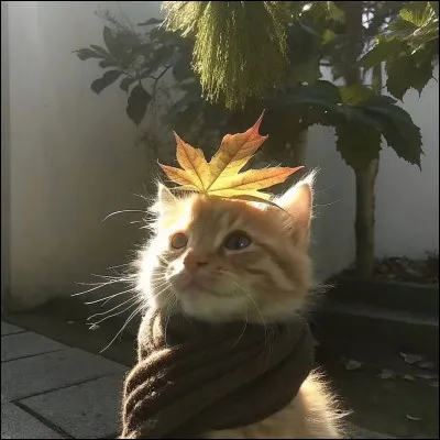 Tes proches disent souvent que tu es�