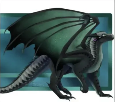 Quels sont ses pouvoirs ?