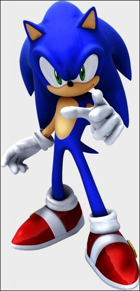 Qu'est-ce que Sonic aime le plus au monde ?