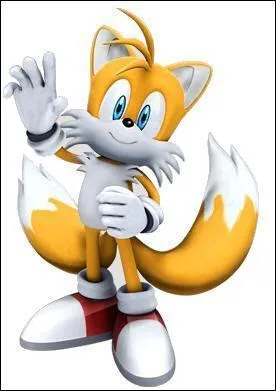 Quel est le vrai nom de Tails ?