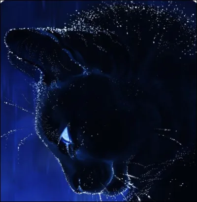 R&eacute;flexe 6, tu as r&eacute;ussi &agrave; de nouveau d&eacute;clencher la guerre. La moiti&eacute; des v&ocirc;tres sont tu&eacute;s, tandis qu'une dizaine d'ennemis sont morts.