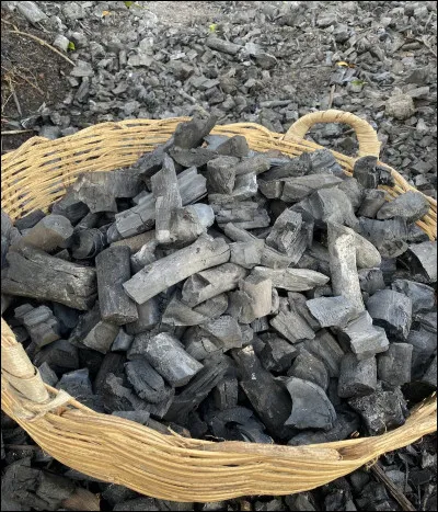 __ que les enfants qui se sont mal comport&eacute;s re&ccedil;oivent du charbon !