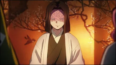 Bien, pour la seconde partie de cet examen, nous allons voir si tu connais bien tes sup&eacute;rieurs !Pour commencer, &agrave; quoi sont dues les marques sur le visage de ma&icirc;tre Kagaya Ubuyashiki ?