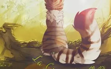 Quiz Litt�rature, po�sie