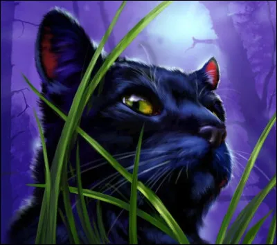 Est-ce que Pelage de Brume a &eacute;t&eacute; lieutenant ?