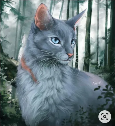 Qui y a-t-il eu comme lieutenants sous &Eacute;toile Bleue ?