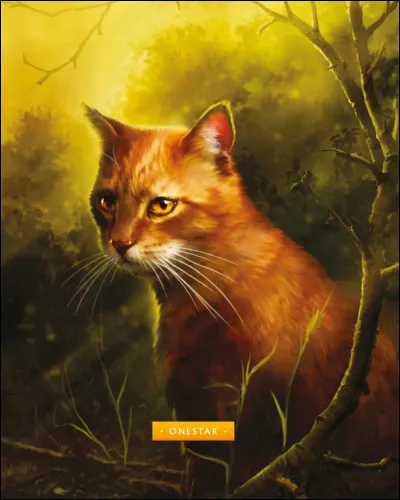 Qui fut le premier lieutenant d�&Eacute;toile Solitaire ?