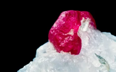 Quiz Culture g�n�rale