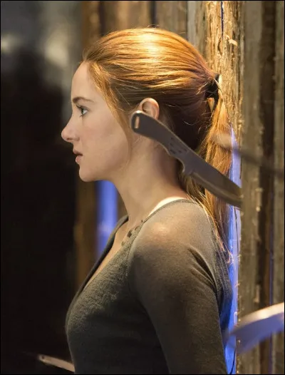 Quel est le symbole des Audacieux ?