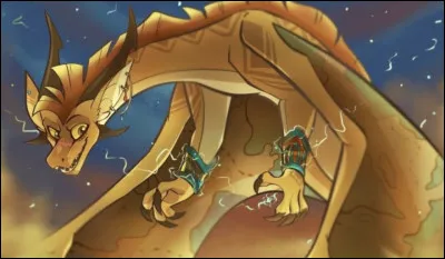 Quel &acirc;ge a-t-il ?