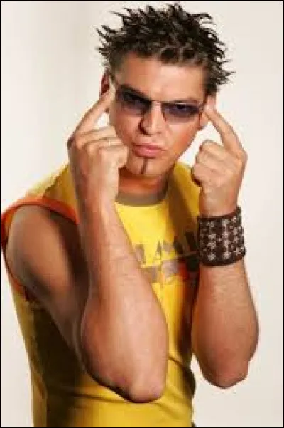 Qui interpr&eacute;t&eacute; le tube "Pump it Up" en 2004 ?