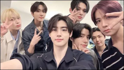 Quels animaux pr&eacute;f&egrave;res-tu parmi ceux-ci ?