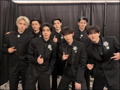 Parmi ceux-l&agrave;, qui est ton bias ? (2)