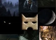 Quiz Clan de l'Ombre - LGDC -