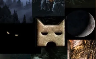 Quiz Litt�rature, po�sie