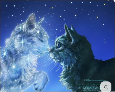 Comment ce chat s'appelait-il ?