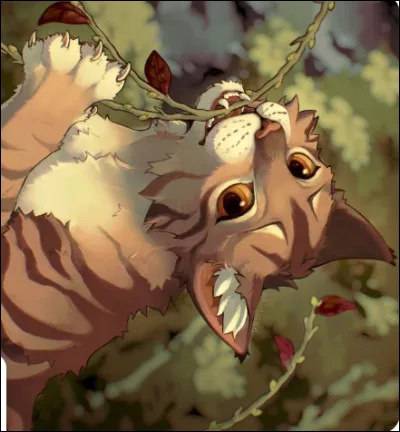 Quel est leur principal habitat ?