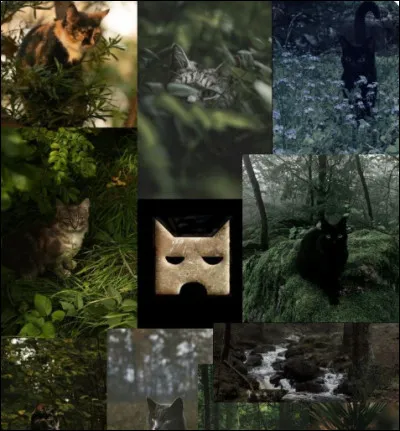 Combien de chefs qui ont le m&ecirc;me nom ont-ils &eacute;t&eacute; au pouvoir dans le Clan de l'Ombre ?