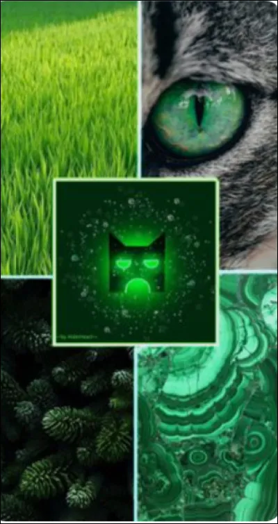 Cite quelques-une de leurs caract&eacute;ristiques :