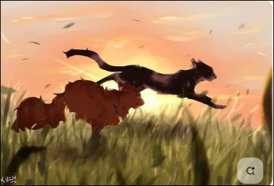 Cite quelques-unes de leurs caract&eacute;ristiques :