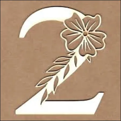 En 2007, quelle chanteuse australienne a interpr&eacute;t&eacute; "2 Hearts" ?