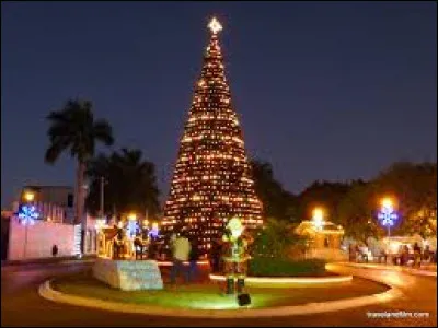 Si vous voulez voir ces illuminations, rendez-vous &agrave; M&eacute;rida. Capitale et ville la plus peupl&eacute;e du Yucat&aacute;n, elle se trouve ...