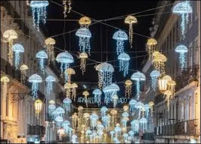 Ces dr&ocirc;les de d&eacute;corations sont &agrave; voir &agrave; Lisbonne. Capitale de son pays, entre l'oc&eacute;an Atlantique et la mer de Paille, elle se trouve ...