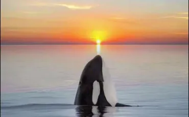 Quiz Test de personnalit�