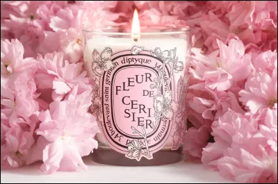 Quelle est ta fleur pr&eacute;f&eacute;r&eacute;e ?