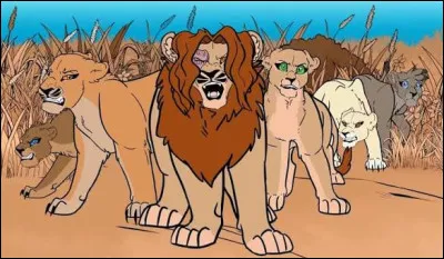 Quel mot te caract&eacute;rise le plus ?