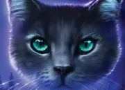 Quiz LGDC - Connais-tu bien Soie de Gel ?