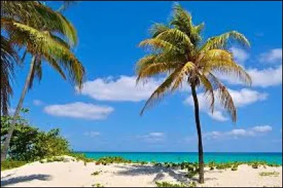 Comment s'appelait l'encyclop&eacute;die en ligne publi&eacute;e par Cuba sur sa propre histoire ?