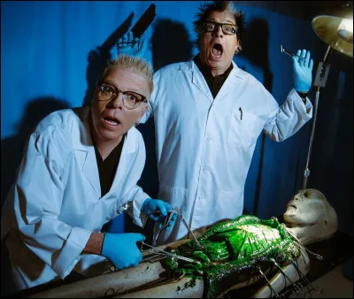 Ce groupe a connu le succ&egrave;s en 1994 gr&acirc;ce &agrave; son style d&eacute;cal&eacute; et sarcastique, avec des chansons punk mais accessibles qui ont marqu&eacute; la d&eacute;cennie. Originaire de Californie, le groupe a eu de nombreux hits comme "Self Esteem", "Come Out And Play" ou encore "Gone Away". Quel est son nom ?