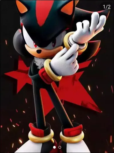 Dans "Sonic 3" comment se nomme le h&eacute;risson noir ?