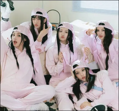 Quel est le nom du fandom ?