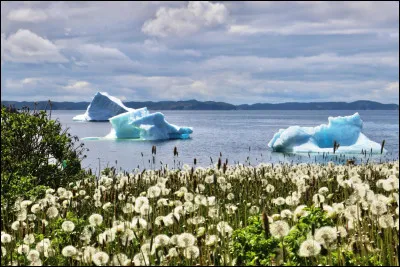 Quel lieu est r&eacute;put&eacute; pour ses icebergs visibles depuis la c&ocirc;te ?