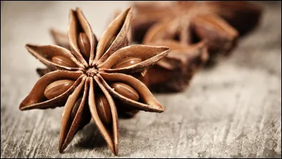 Bon, reconnais-tu cette fleur ?