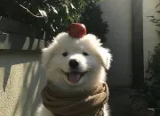 Test Ce que les gens remarquent en premier chez toi. 🤔